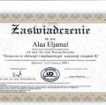 Powiększ obraz: certificate 1
