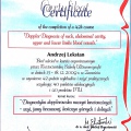 Powiększ obraz: certificate 8