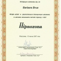 Powiększ obraz: certificate 14