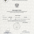 Powiększ obraz: certificate 3