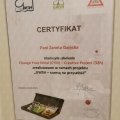 Powiększ obraz: certificate 9