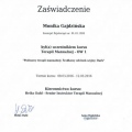 Powiększ obraz: certificate 9