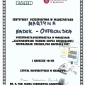 Powiększ obraz: certificate 3