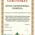 Powiększ obraz: certificate 4