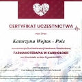 Powiększ obraz: certificate 3