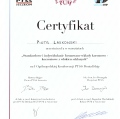 Powiększ obraz: certificate 2