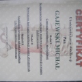 Powiększ obraz: certificate 2