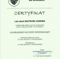 Powiększ obraz: certificate 9