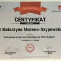 Powiększ obraz: certificate 6