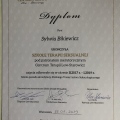 Powiększ obraz: certificate 11