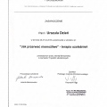 Powiększ obraz: certificate 5