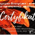 Powiększ obraz: certificate 21