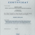 Powiększ obraz: certificate 6