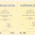 Powiększ obraz: certificate 1
