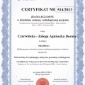 Powiększ obraz: certificate 22