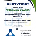 Powiększ obraz: certificate 2
