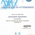 Powiększ obraz: certificate 27