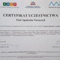 Powiększ obraz: certificate 4