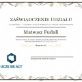 Powiększ obraz: certificate 7