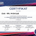 Powiększ obraz: certificate 4