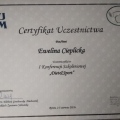 Powiększ obraz: certificate 2