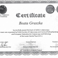 Powiększ obraz: certificate 1