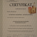 Powiększ obraz: certificate 5