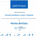 Powiększ obraz: certificate 5