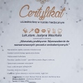 Powiększ obraz: certificate 17