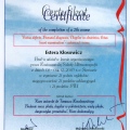 Powiększ obraz: certificate 9
