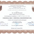 Powiększ obraz: certificate 7