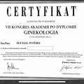 Powiększ obraz: certificate 4