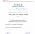 Powiększ obraz: certificate 2