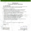 Powiększ obraz: certificate 1