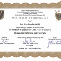 Powiększ obraz: certificate 3