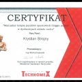 Powiększ obraz: certificate 3