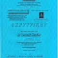 Powiększ obraz: certificate 6