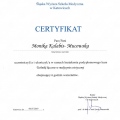 Powiększ obraz: certificate 24