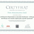 Powiększ obraz: certificate 33