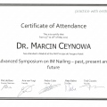 Powiększ obraz: certificate 38