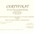 Powiększ obraz: certificate 13