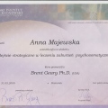 Powiększ obraz: certificate 9