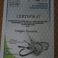 Powiększ obraz: certificate 2