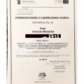 Powiększ obraz: certificate 7