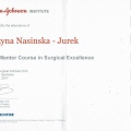 Powiększ obraz: certificate 1