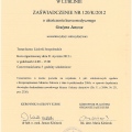 Powiększ obraz: certificate 19