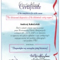 Powiększ obraz: certificate 3