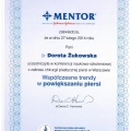 Powiększ obraz: certificate 8