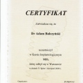 Powiększ obraz: certificate 22