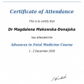 Powiększ obraz: certificate 4